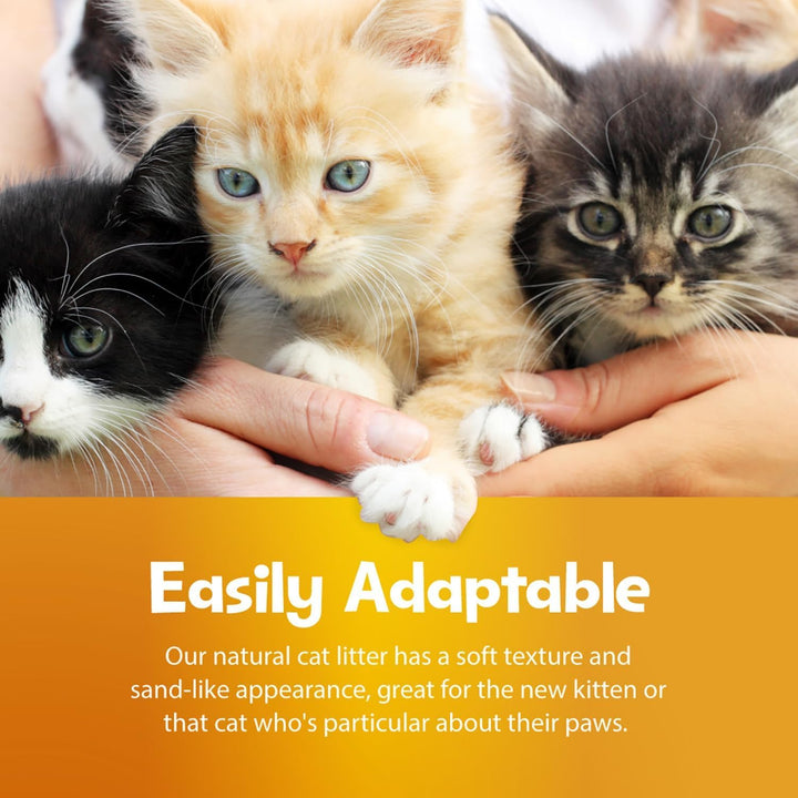 All Natural Clumping Cat Litter - Chemical and Dust Free - Alternative to Clay and Pellet Litter - Unscented and Lightweight - 5 Pounds
