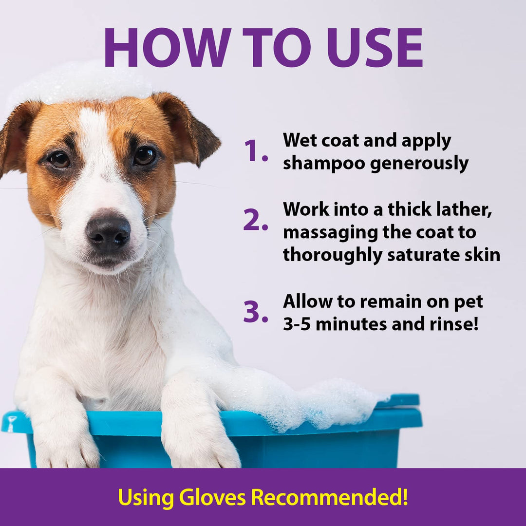 Odor Destroying Shampoo for Dogs, 32 oz. – Formulated with Powerful De-Greasers, Skunk Odor Remover for Pets, Carpet, Furniture and More – Removes Skunk Smell Fast