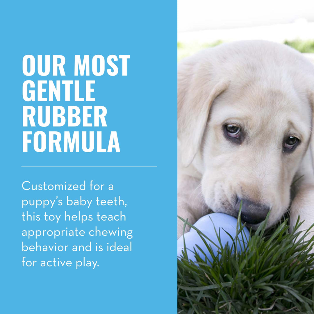 Puppy - Natural Teething Rubber Chew Toy for Dogs - Stuffable Dog Toy for Extended Playtime - Chew & Fetch Toy for Puppies - for Medium Puppies - Blue