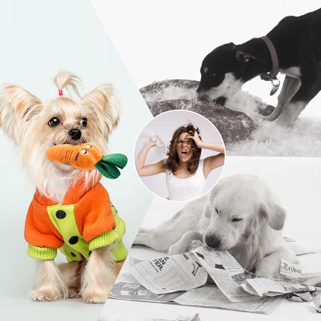 Dog Squeaky Toys, Plush Small Dog Toys for Dogs, Stuffed Dog Toys with Squeakers,12 pcs Puppy Toys with a Carrying Bag for Small Medium Size Dogs