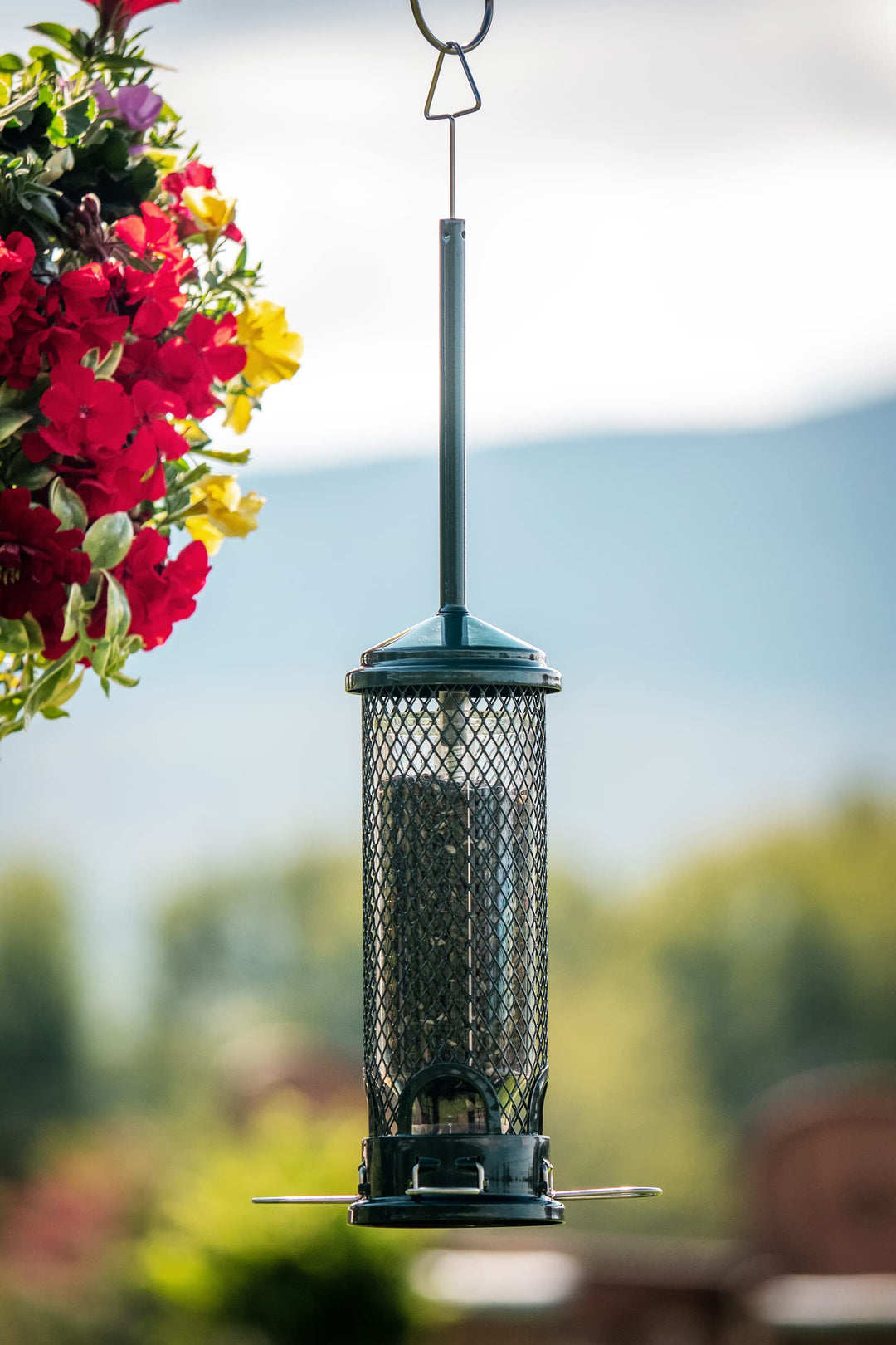 Mini Squirrel-proof Bird Feeder w/4 Metal Perches, 1.3lbs Seed Capacity, garden green