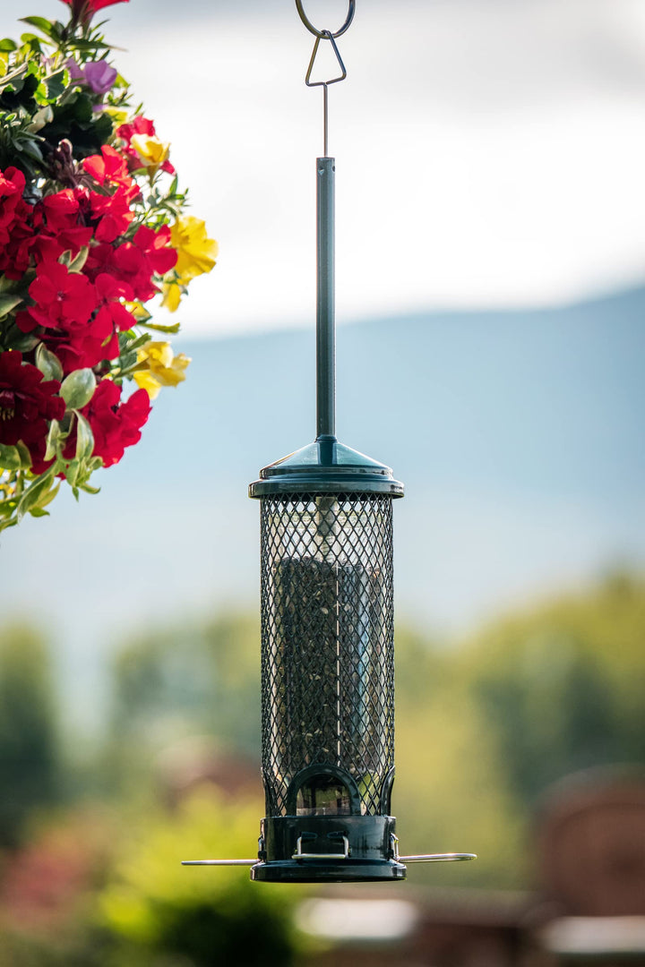 Mini Squirrel-proof Bird Feeder w/4 Metal Perches, 1.3lbs Seed Capacity, garden green