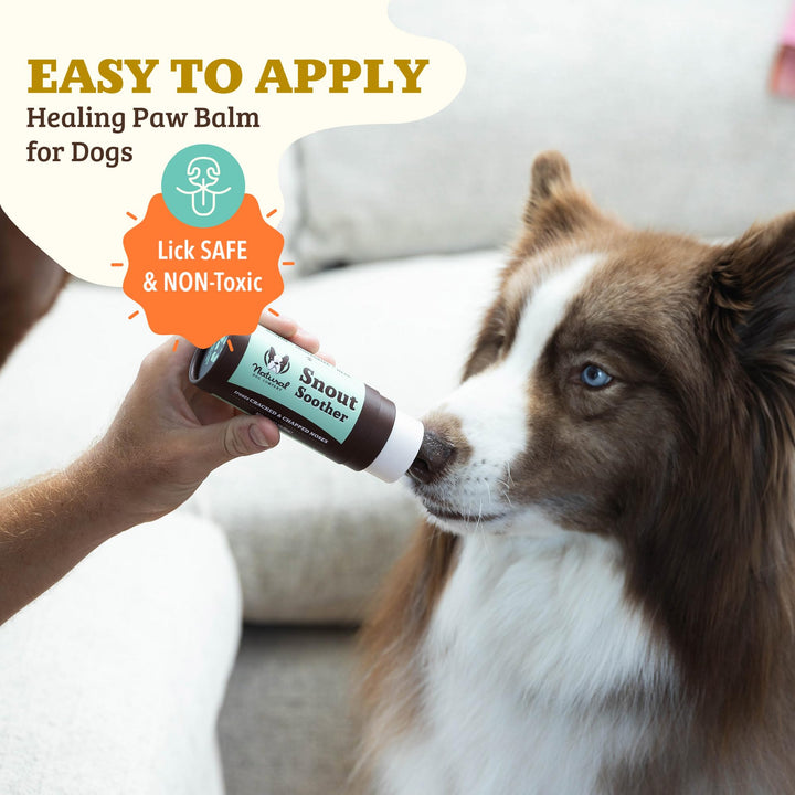 Snout Soother, Dog Nose Balm, Wax & Cream for Dry, Cracked Noses, Heals & Moisturizes with Shea Butter & Coconut Oil, Lick-Safe Nose Butter, Made in USA, 2 oz. Stick