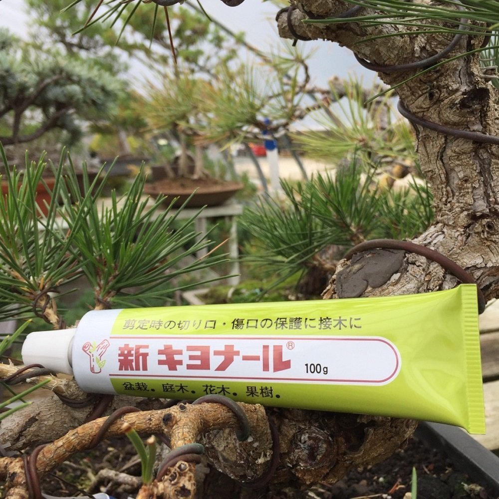 New Bonsai Pruning Cutting Sealer 100g Made in JAPAN