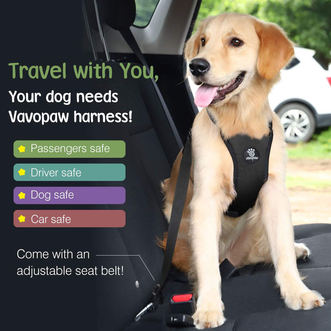 Dog Vehicle Safety Vest Harness, Adjustable Soft Padded Mesh Car Seat Belt Leash Harness with Travel Strap and Carabiner for Most Cars, Size Large, Black