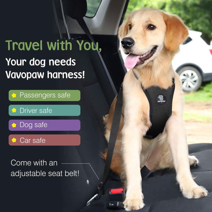 Dog Vehicle Safety Vest Harness, Adjustable Soft Padded Mesh Car Seat Belt Leash Harness with Travel Strap and Carabiner for Most Cars, Size Large, Black