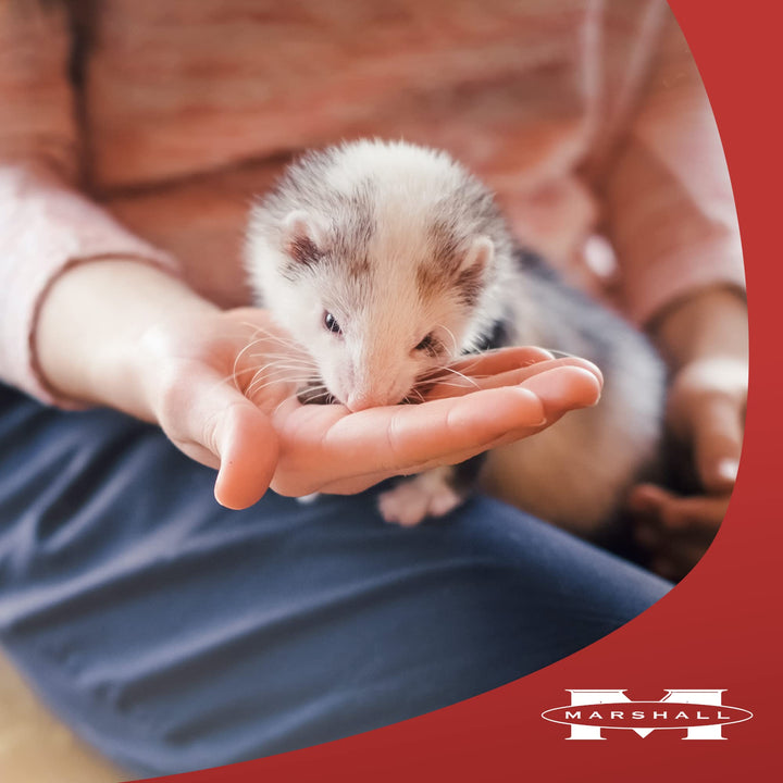 Marshall Premium Ferret Diet, 7-Pound Bag