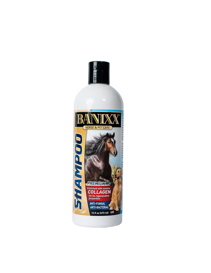 Medicated Shampoo--Soap-Free --Incredible Marine Collagen—Pet skin Yeast Infections, Ringworm, Rain Rot, Horse Scratches, Dermatitis, Itchy Skin