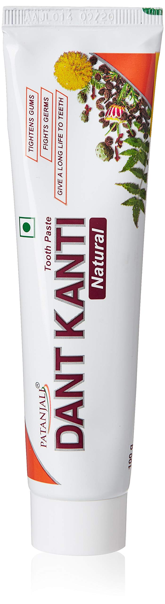 Dant Kanti Dental Cavity Protection Cream - 100 g (Natural)