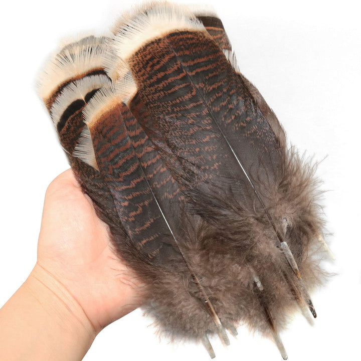 Natural Turkey Feather 20PCS 15-20cm/5.9-7.87inch Precious Turkey Tail Feathers for DIY Costume Headress