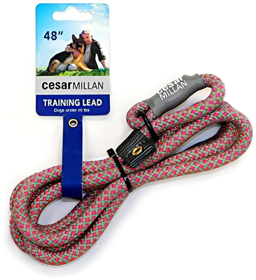 Slip Lead Leash™ - 2-in-1 Slip Collar Dog Training Lead & Collar | Heavy Duty Durable Weatherproof Rope Leash, No Pull Training | Length 4ft Diameter 4/10”(Regular, Pink/Grey)