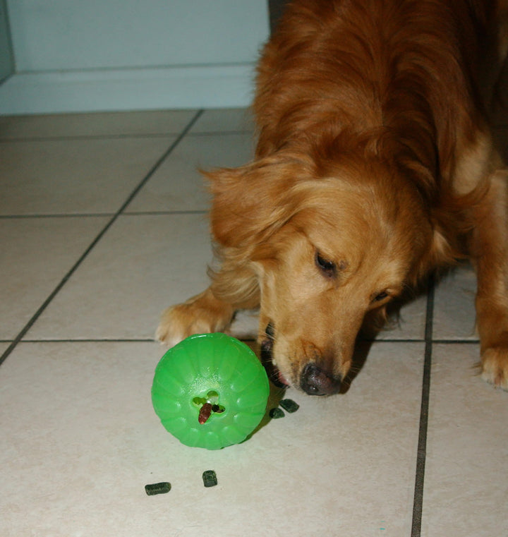 Treat Dispensing Chew Ball, Large