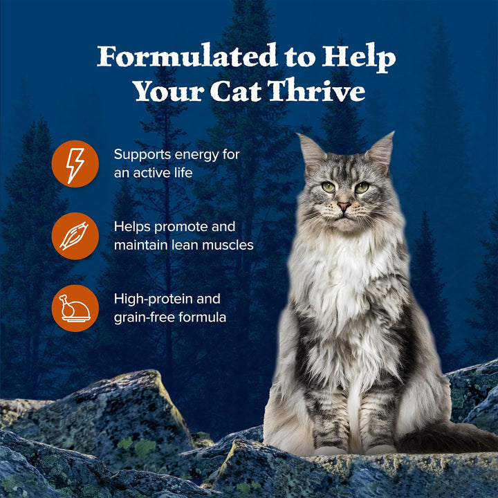 Wilderness Wild Delights Meaty Morsels Wet Cat Food, High-Protein & Grain-Free, Made with Natural Ingredients, Chicken & Turkey Recipe in Tasty Gravy, 3-oz. Cans (24 Count)