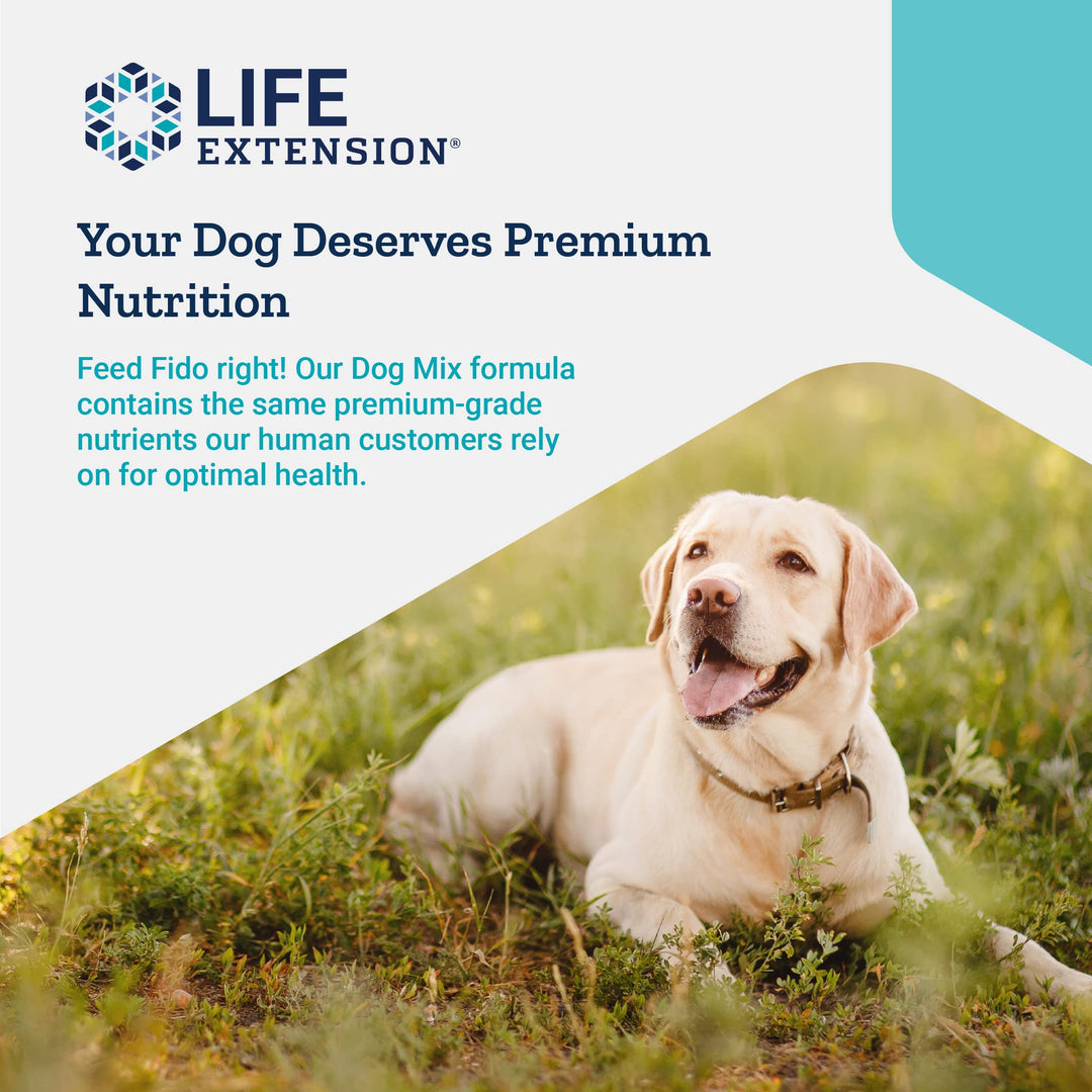 Dog Mix - Daily Nutrition Care Supplement Powder for Your Canine Pet - Advanced Formula with Vitamins, Probiotics & Essential Fatty Acids - Gluten-Free, Non-GMO – 100 g, 60 Servings
