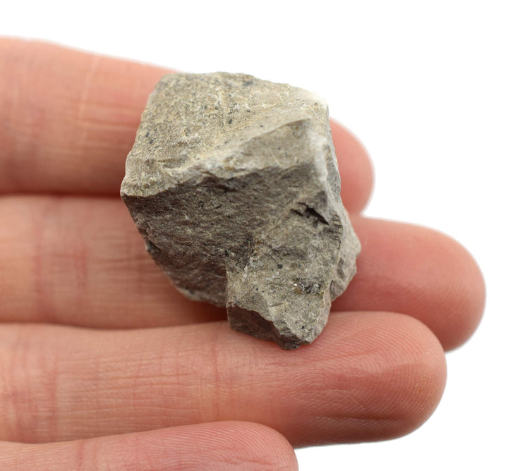 12PK Raw Gray Limestone, Sedimentary Rock Specimens - Approx. 1 - Geologist Selected & Hand Processed - Great for Science Classrooms - Class Pack