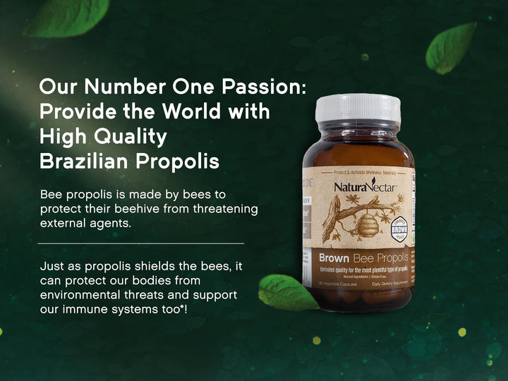 - Brown Bee Propolis - NSF Contents Certified - Premium Brazilian Propolis - Gluten-Free Supplement with Flavonoids, FLAV-B and PWE - Naturally Sourced Through Ethical Beekeeping (60pcs.)