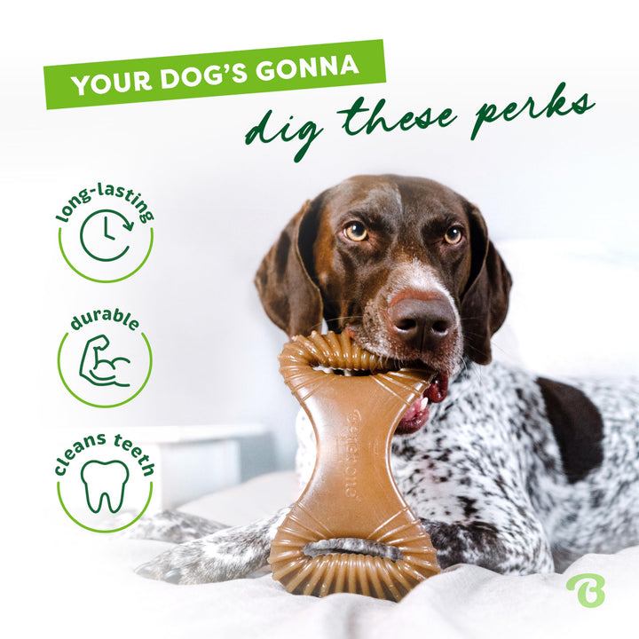 Dental Durable Dog Chew Toy for Aggressive Chewers, Real Bacon, Made in USA, Medium