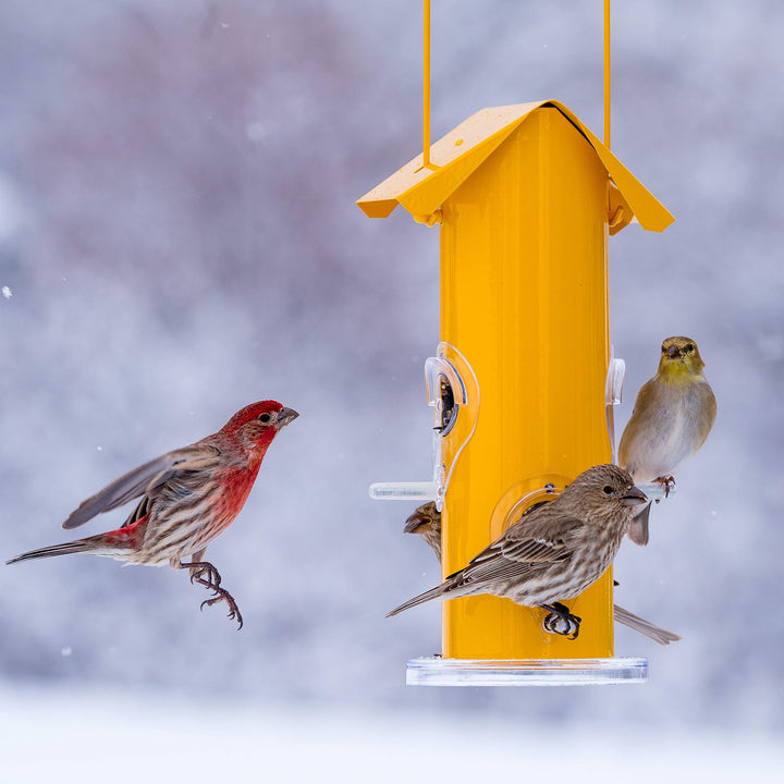 390 Wild Bird Feeder, Yellow