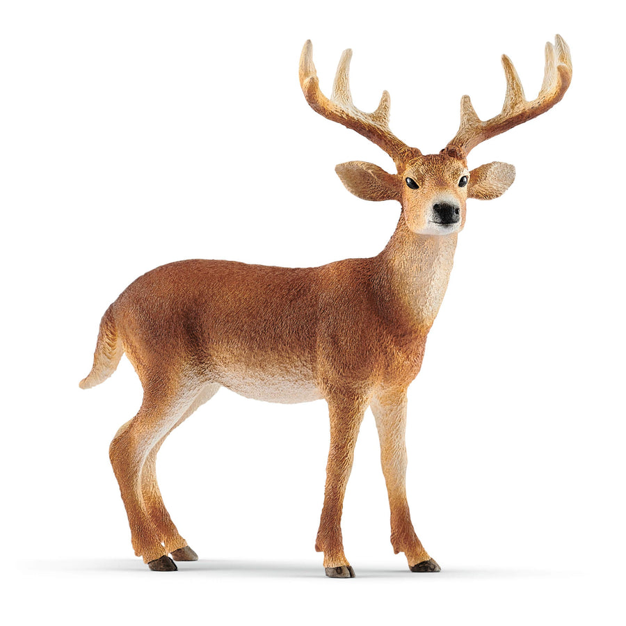 Wild Life, Animal Figurine, Animal Toys for Boys and Girls 3-8 Years Old, White-Tailed Buck, Ages 3+
