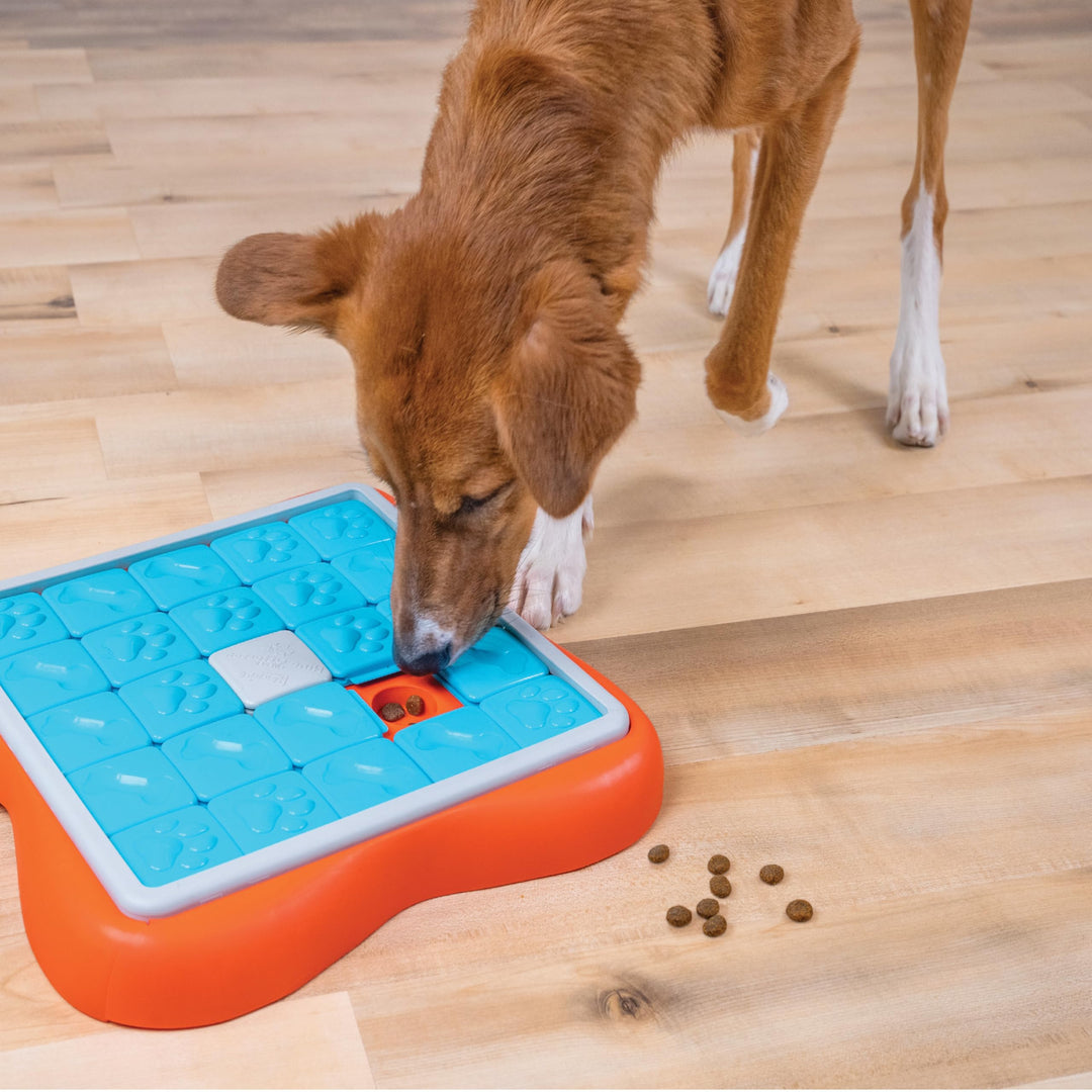 by Nina Ottosson Challenge Slider Treat Puzzle Enrichment Toy, Level 3 Advanced, Multicolored