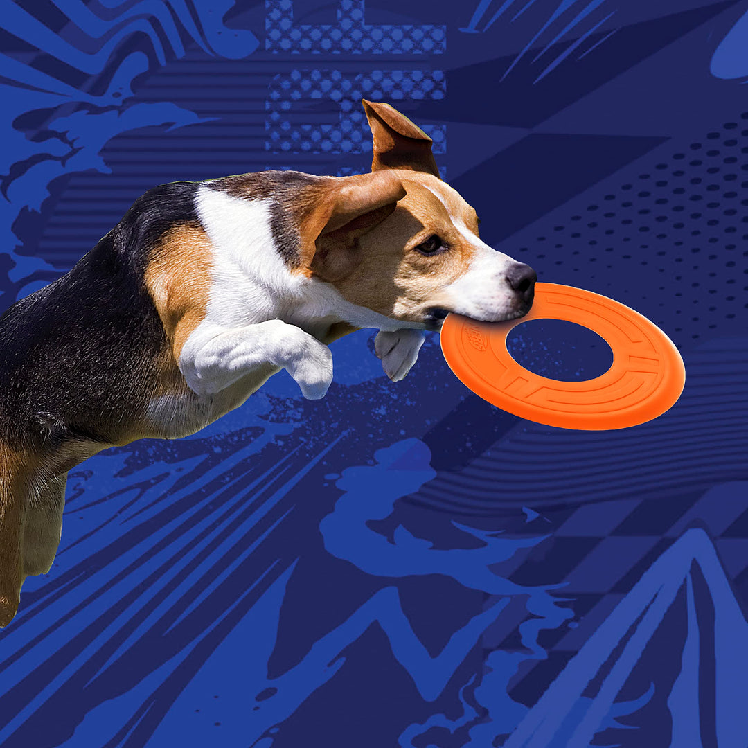 Atomic Flyer Outdoor Dog Toy, 10 Inch Flying Disc Dog Fetch Toy, Rubber Dog Toy for Medium Dogs and Large Dogs, Orange