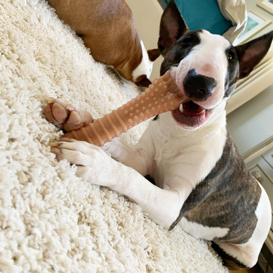 Textured Knuckle Bone Power Chew Toy for Dogs, Durable & Tough Dog Toys for Aggressive Chewers, Bacon Flavor, X-Large - 50+ lbs, 1 Count