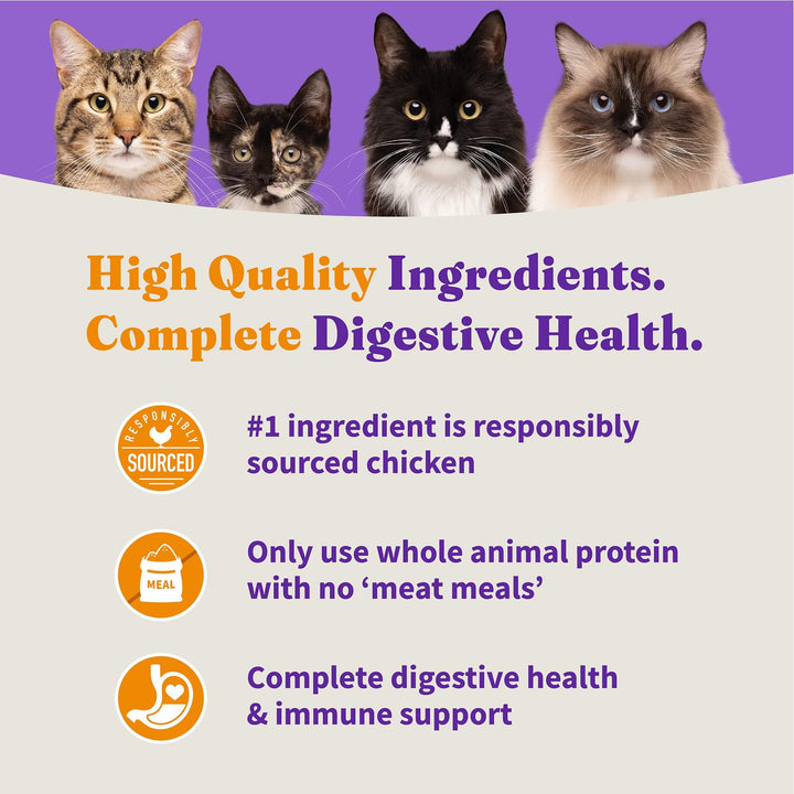Holistic Cage Free Chicken Cat Food, Grain Free Dry Cat Food, For Healthy Weight Support, Kibble for Indoor Cats, 3 lb Bag