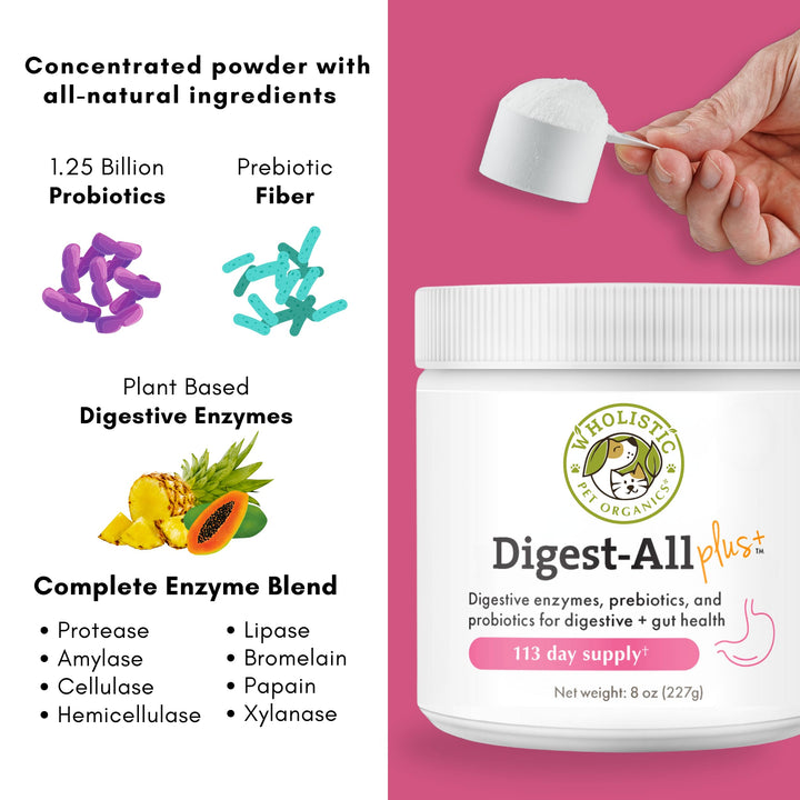 Wholistic Digest-All Plus Probiotics for Dogs with Digestive Enzymes - 4 Oz - Cat Probiotics for Digestive Health - Dog Probiotics for Digestive Health Supplement Powder for Homemade Food