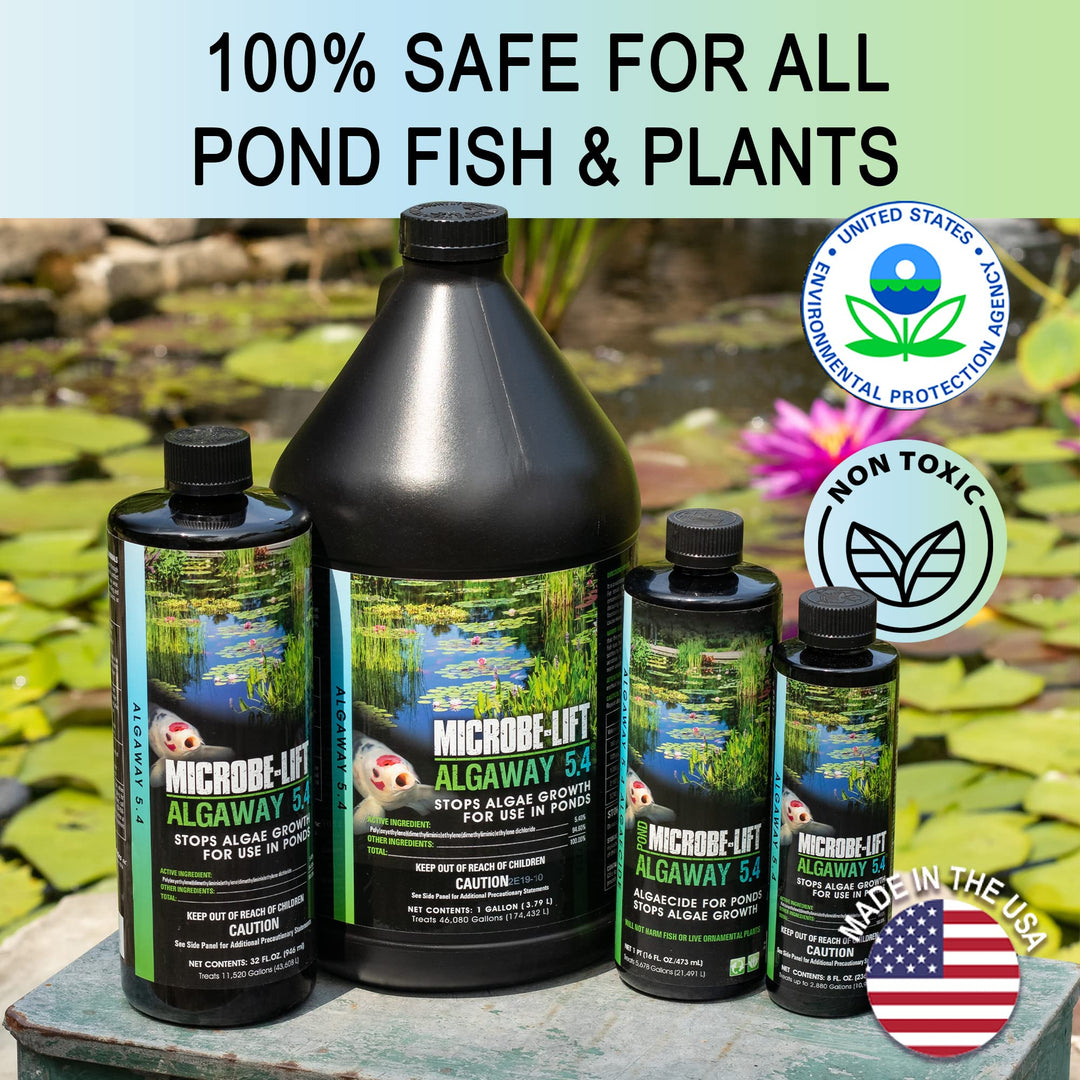 ALGA32 Algaway 5.4 Algae Control Treatment for Ponds and Water Gardens, Safe for Koi Fish, Goldfish, Plants, and Decorations, 32 Ounces
