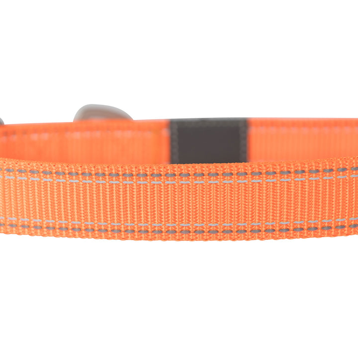 Classic Preformance Webbing Pet Collar, Fully Adjustable, Available in Solid Colors and Camo Patterns, Safety Orange, Small