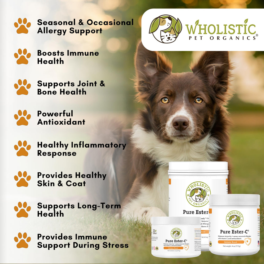 Pure Ester-C Powder for Dogs & Cats - 4 Oz - Vitamin C Supplement for Immune Support, Skin & Coat Health, & Allergy Relief - Dog Vitamin Powder for Itchy Skin & Homemade Food