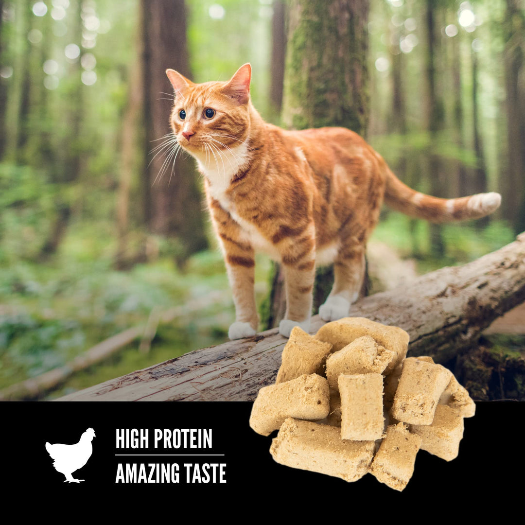 Original Freeze Dried Cat Treats, Grain Free Treats for Cats, Raw Animal Ingredients, 1.25oz