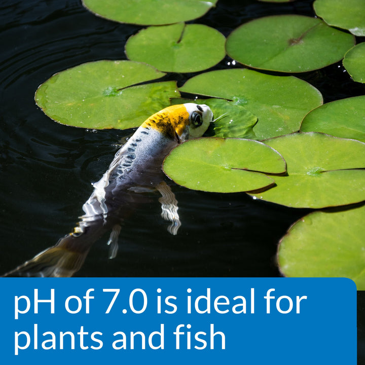 POND WIDE RANGE pH TEST KIT 160-Test Pond Water Test Kit