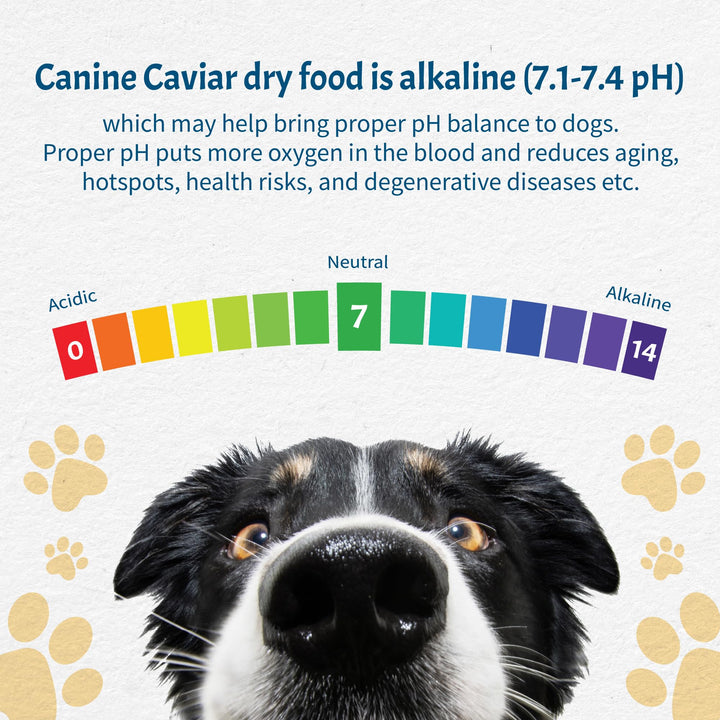 - Open Meadow: Lamb & Pearl Millet Alkaline Dry Dog Food, Limited Ingredients, Gluten-Free, Based on Science & Research, Veterinary Alternative Diet (22 Pound Bag)