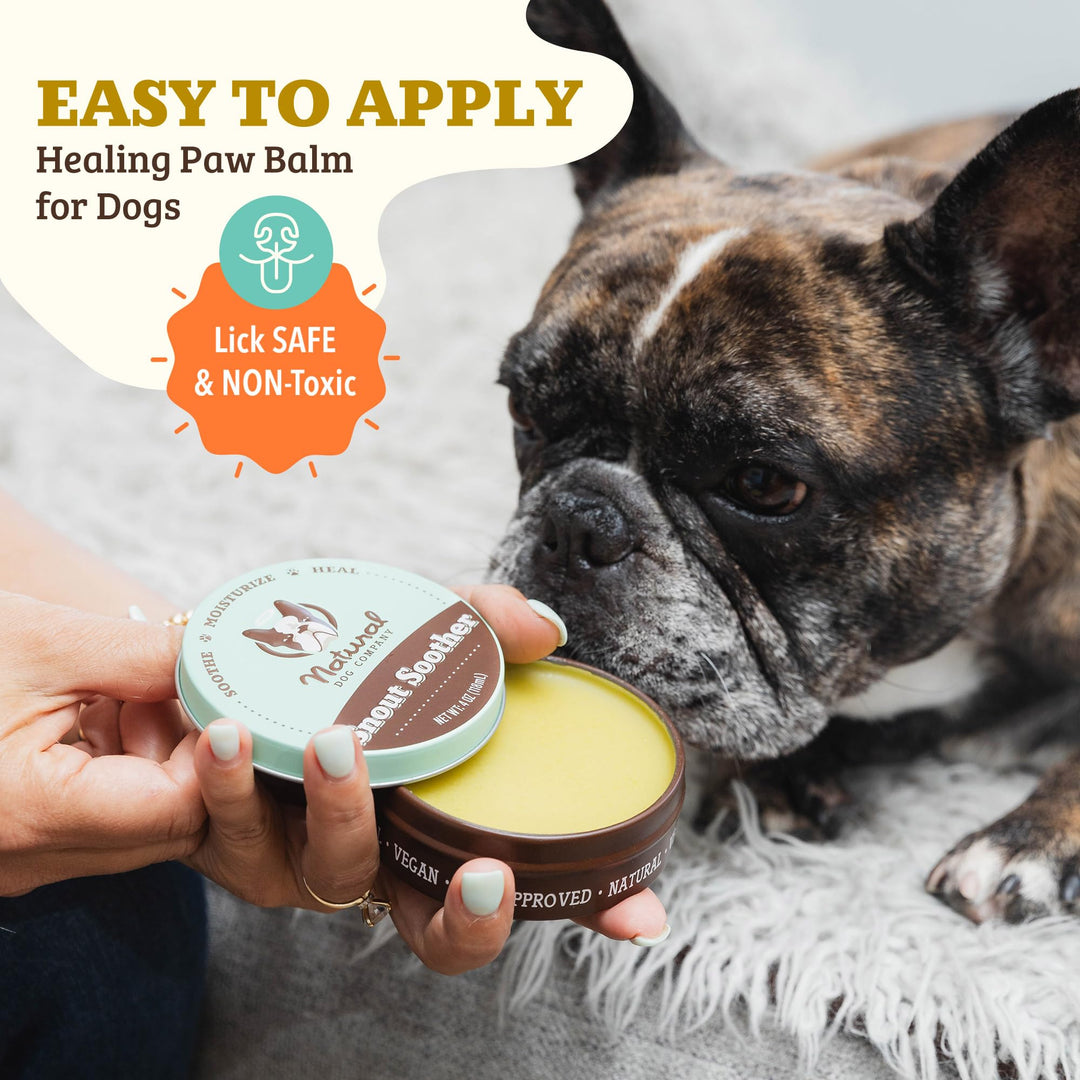Snout Soother, Dog Nose Balm, Wax & Cream for Dry, Cracked Noses, Heals & Moisturizes with Shea Butter & Coconut Oil, Lick-Safe Nose Butter, Made in USA, 2 oz. Tin