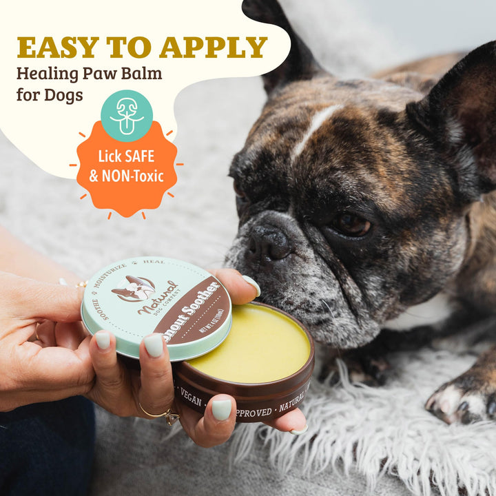 Snout Soother, Dog Nose Balm, Wax & Cream for Dry, Cracked Noses, Heals & Moisturizes with Shea Butter & Coconut Oil, Lick-Safe Nose Butter, Made in USA, 2 oz. Tin
