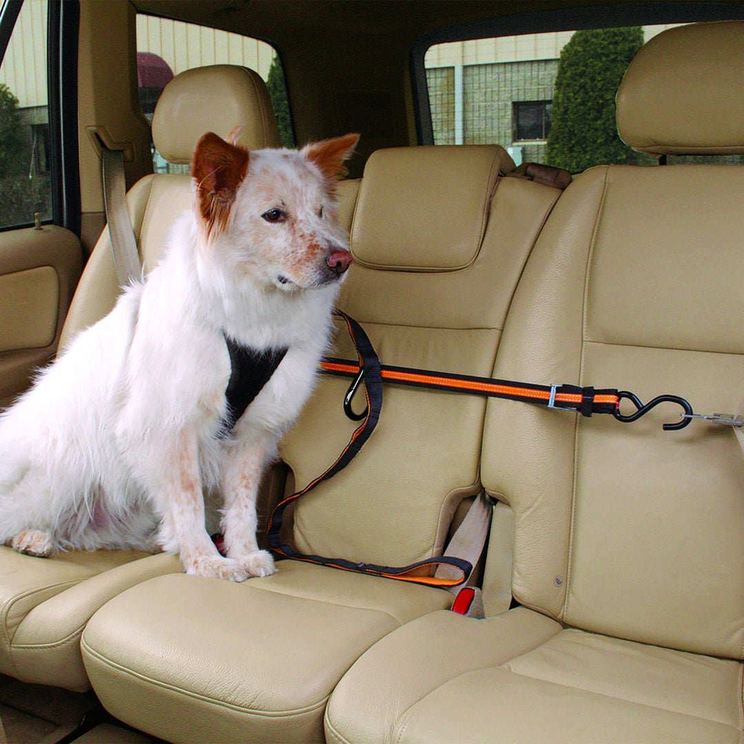 Auto Zipline for Dogs, Adjustable Dog Safety Belt Leash, Pet Seat Belt Tether, Reduce Distracted Driving, Includes Dog Leash & Carabiner Clips, 6 feet