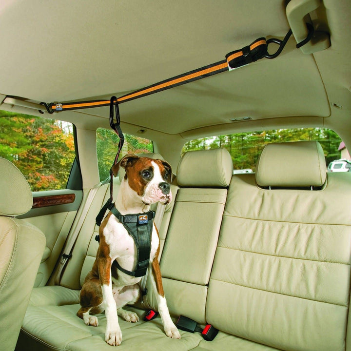 Auto Zipline for Dogs, Adjustable Dog Safety Belt Leash, Pet Seat Belt Tether, Reduce Distracted Driving, Includes Dog Leash & Carabiner Clips, 6 feet