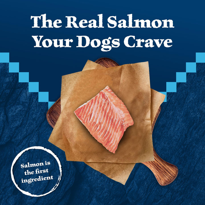 Wilderness Trail Treats High Protein Grain Free Dog Biscuits Crunchy Dog Treats, Salmon Recipe, 10-oz Bag