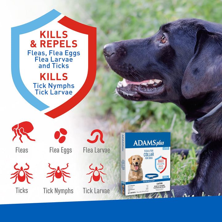 Plus Flea & Tick Collar for Dogs, 7-Month Protection, Adjustable Collar Fits Large Dogs & Puppies, Kills & Repels Fleas, Flea Eggs, Flea Larvae and Ticks, Kills Tick Larvae and Tick Nymphs, Blue