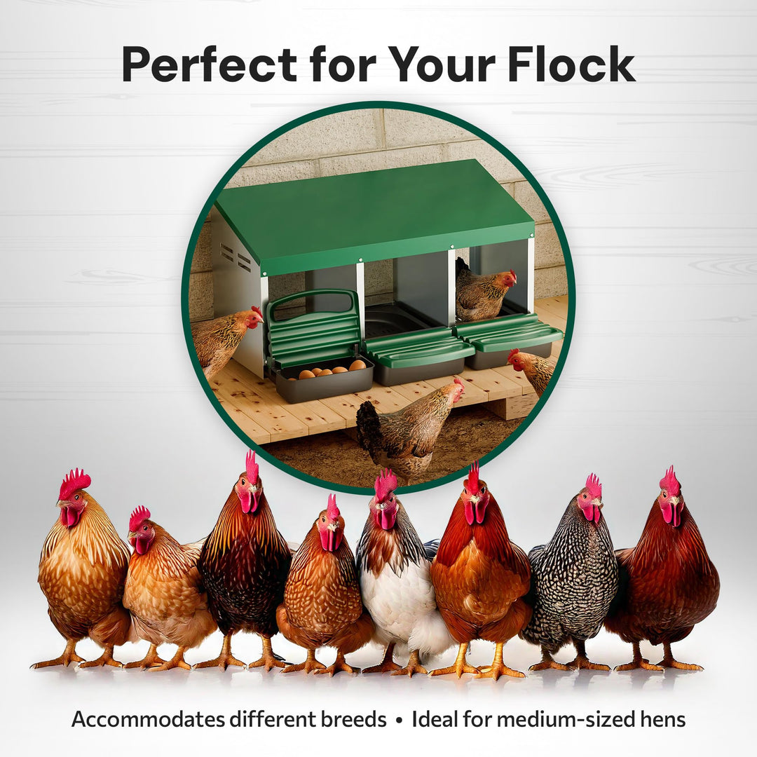 3 Compartment, Forward Rollout & Rollaway, Hen & Chicken Nesting Box with Integrated Perch and Protective Egg Laying Collection Lids