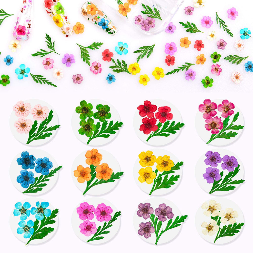 Dried Flowers for Nails 120pcs/set 3D Real Encapsulated Nail Pressed Flowers for Nail Art & Resin Craft DIY - Gypsophila, Five Petals Flowers, Leaves, Hydrangea Macrophylla (Pattern A)