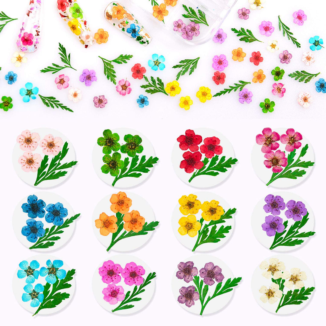 Dried Flowers for Nails 120pcs/set 3D Real Encapsulated Nail Pressed Flowers for Nail Art & Resin Craft DIY - Gypsophila, Five Petals Flowers, Leaves, Hydrangea Macrophylla (Pattern A)