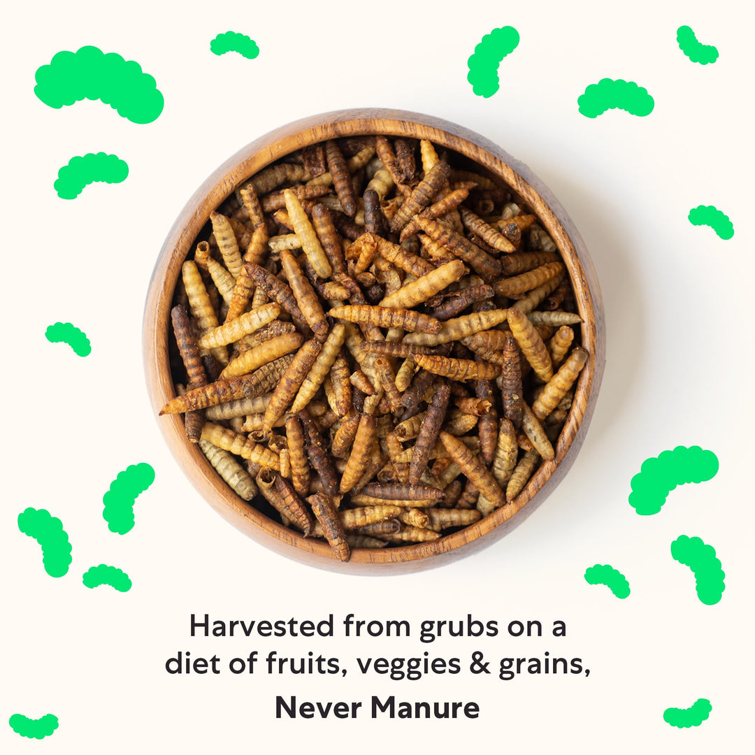 Grubblies - Black Soldier Fly Larvae for Chickens - Chicken Treats Grown in The US and Canada - for Strong Eggshells and Healthy Feathers - Grubblies Hometown Harvest 5LB