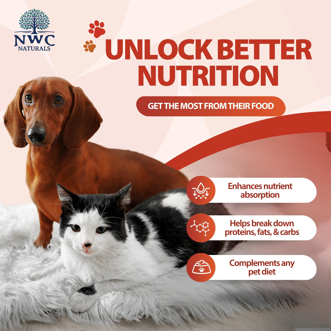 Total-Zymes Digestive Enzymes for Dogs and Cats, Unflavored Dog Food Additives for Gut Health with Prebiotic to Support Food Digestion & Absorption, Relieves Gas & Bloating, 365 Servings - 8 Ounces