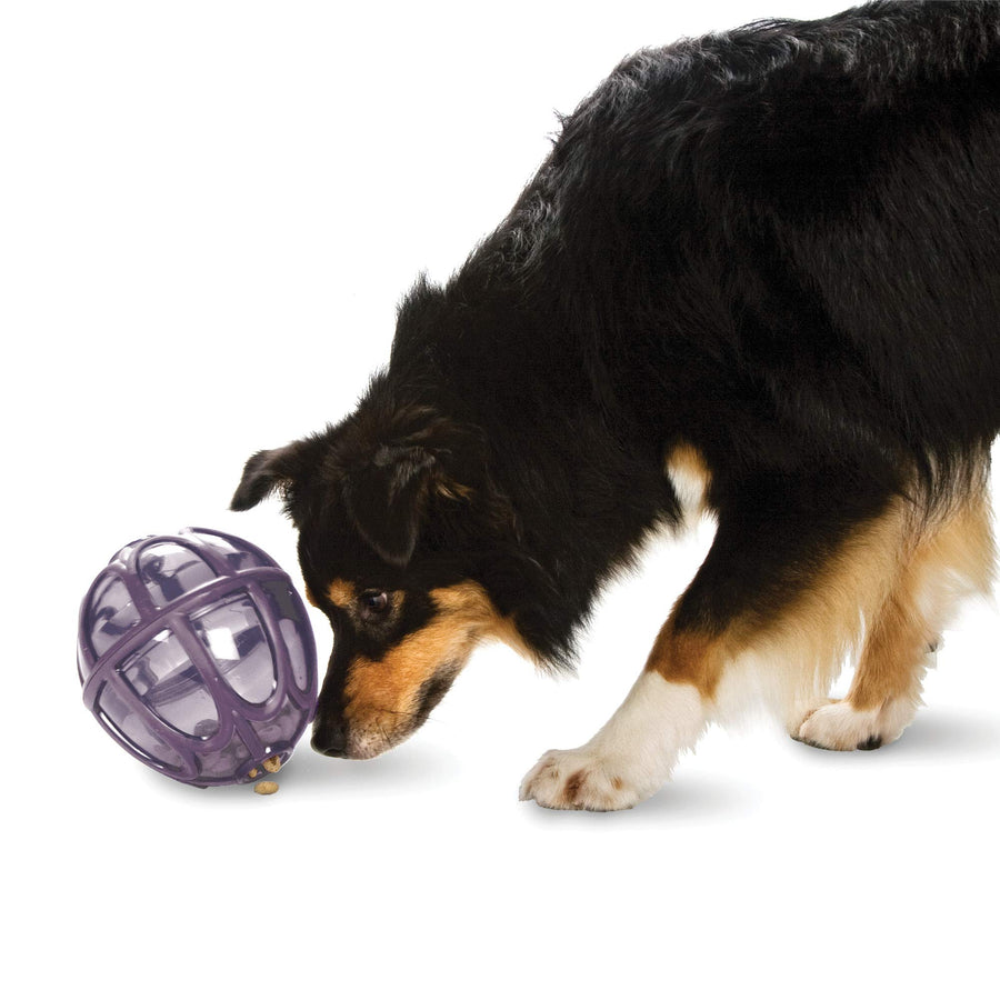 Busy Buddy Kibble Nibble - Dog Toy - Treat and Food Dispenser - Slow Feeder - Medium/Large