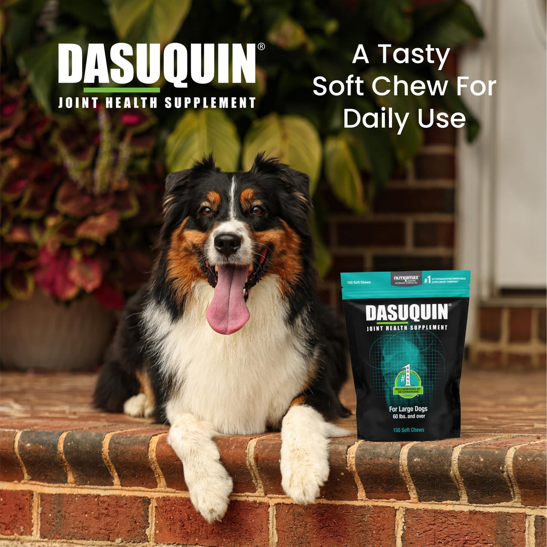 Nutramax Dasuquin for Large Dogs, Joint Health Supplement, Contains Glucosamine for Dogs, Plus Chondroitin, ASU and More, Supports Healthy Joints, Soft Chews, 150 Count