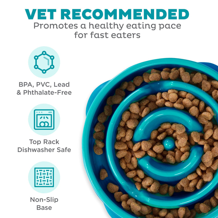 Fun Feeder Slo Bowl, Slow Feeder Dog Bowl, Medium/Mini, Turquoise