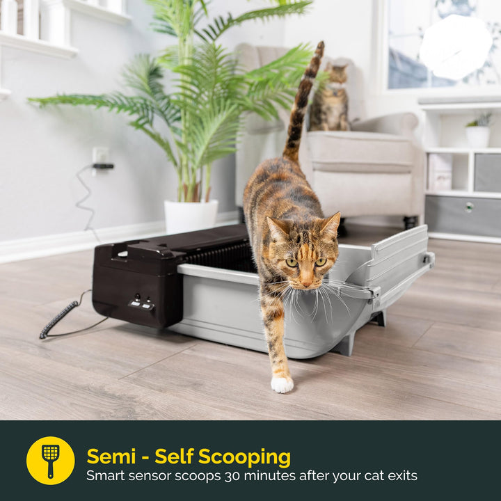 Self Cleaning Automatic Cat Litter Box - Smart Scoop Cat Litter Box with 6 Bags & Carbon Filter for Up to Two Cats 6-16 Pounds