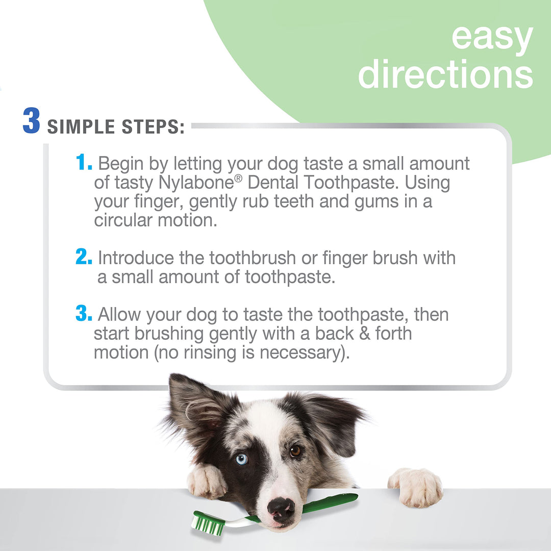 Advanced Oral Care Natural Dog Dental Kit Peanut Flavor 2.5 oz.